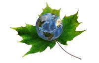 Dia Mundial do Meio Ambiente: conscientizar para preservar