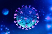 COVID-19: Câmara define expediente dessa semana