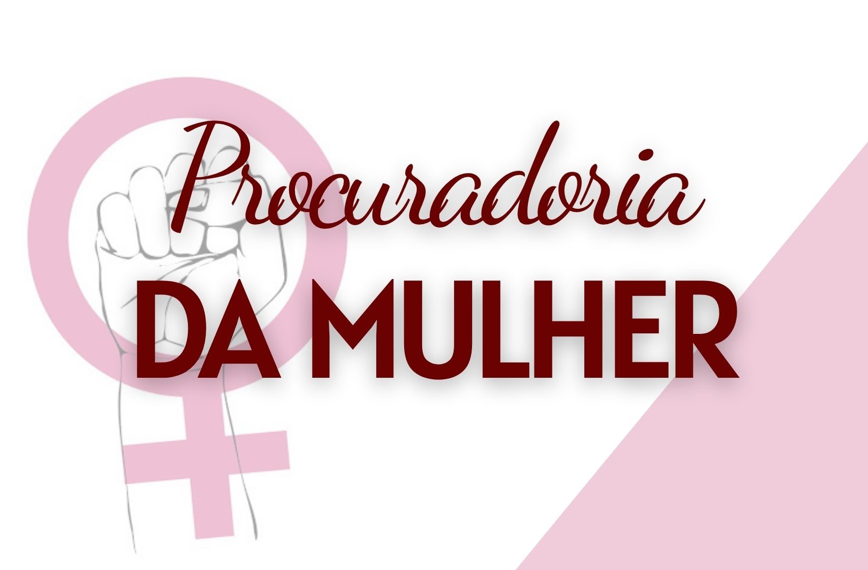 Mesa Diretora institui a Procuradoria da Mulher no legislativo municipal