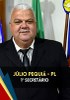Pequiá 10