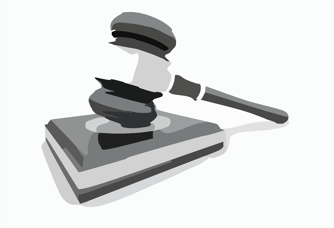 Portal da Transparência da Câmara de Domingos Martins passa a publicar Avisos de Dispensa 