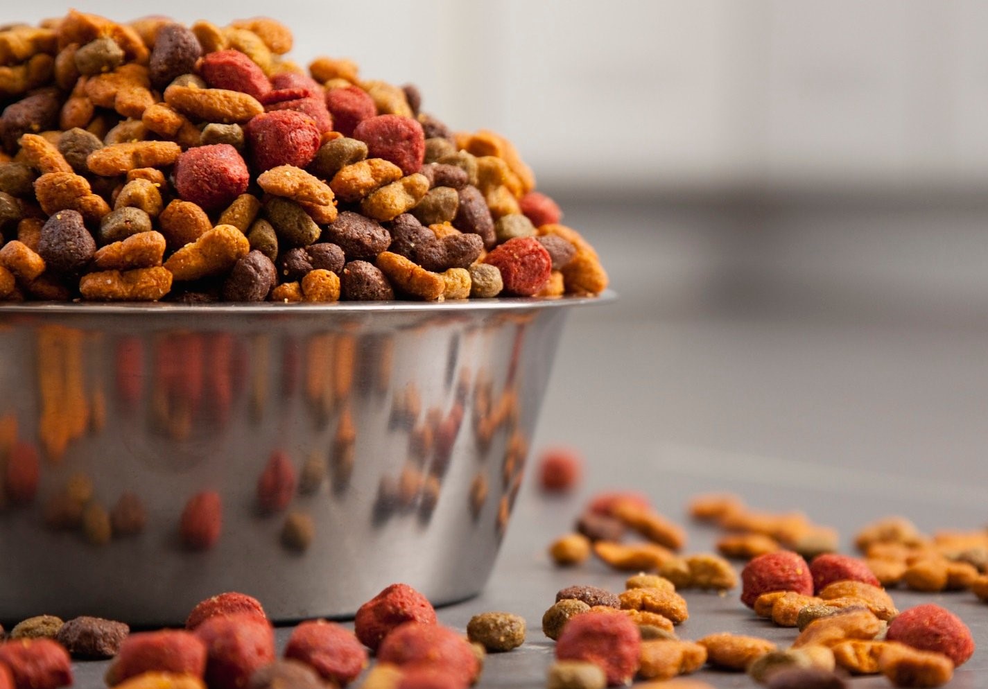 Projeto que institui o "Programa Banco de Ração e de Utensílios para Animais" em Domingos Martins é aprovado