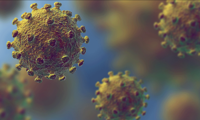 Saiba tudo sobre o novo coronavírus